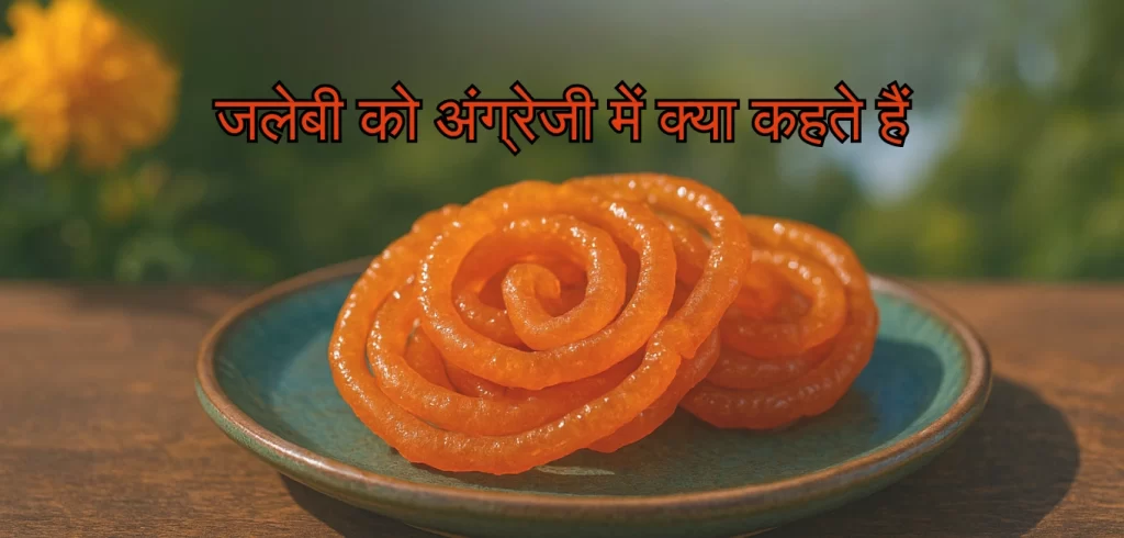 What Is Jalebi Called In English? The Answer Will Blow Your Mind!